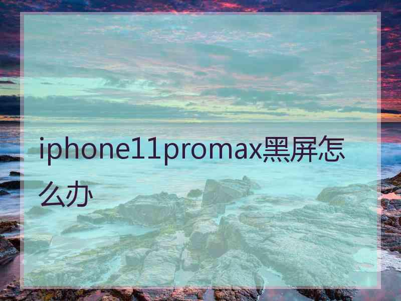 iphone11promax黑屏怎么办