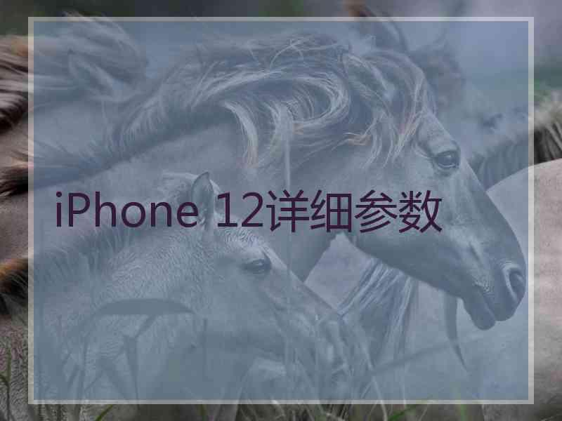 iPhone 12详细参数