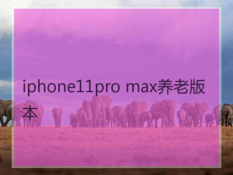 iphone11pro max养老版本