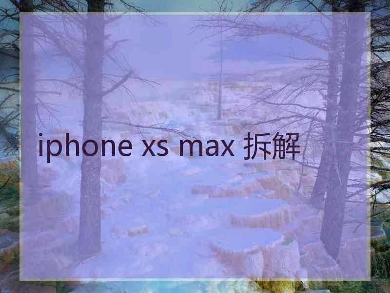 iphone xs max 拆解