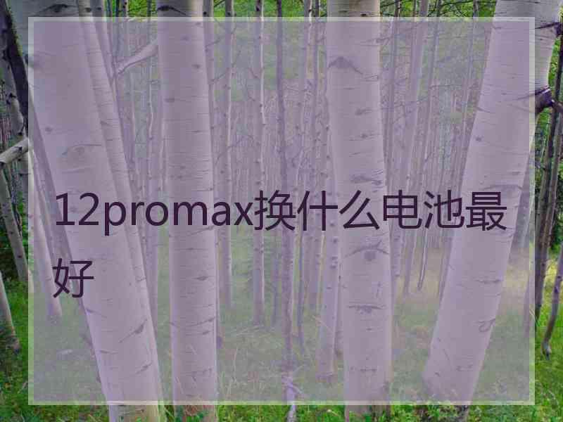 12promax换什么电池最好