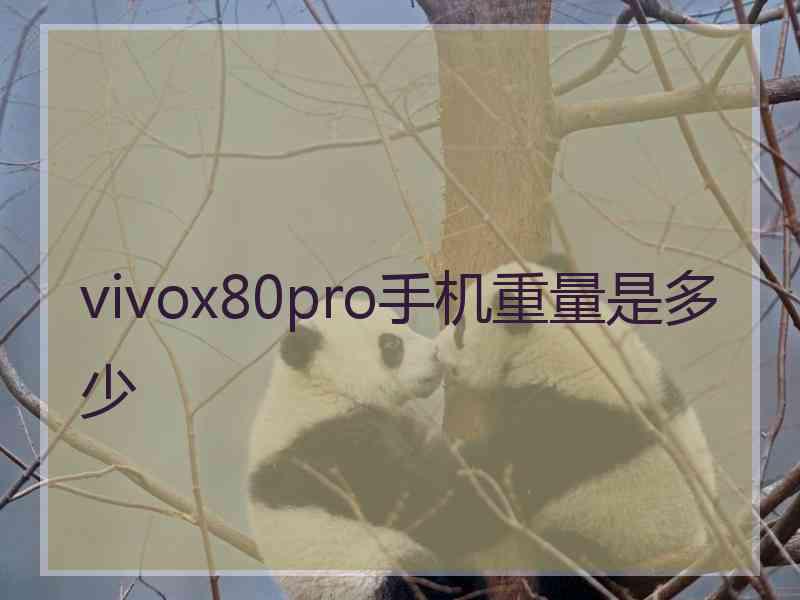 vivox80pro手机重量是多少