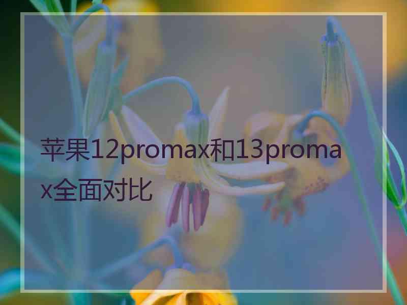 苹果12promax和13promax全面对比