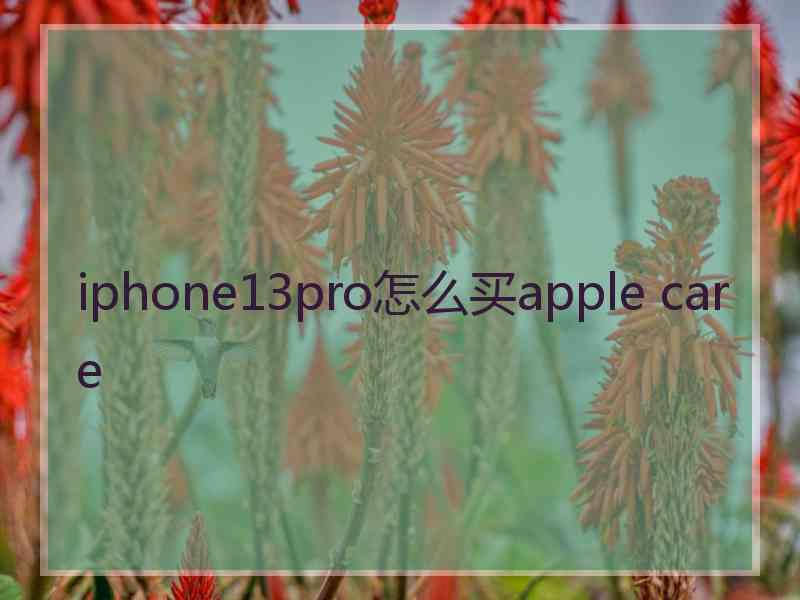 iphone13pro怎么买apple care