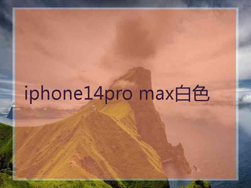 iphone14pro max白色