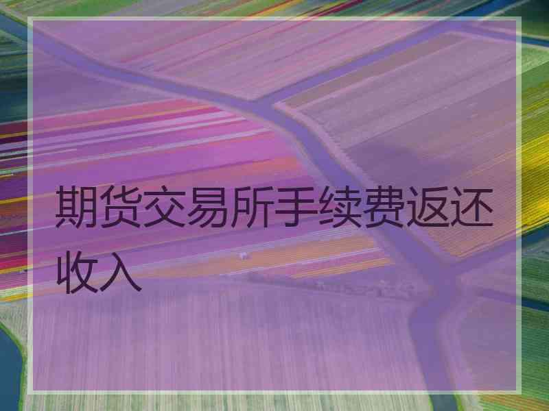 期货交易所手续费返还收入