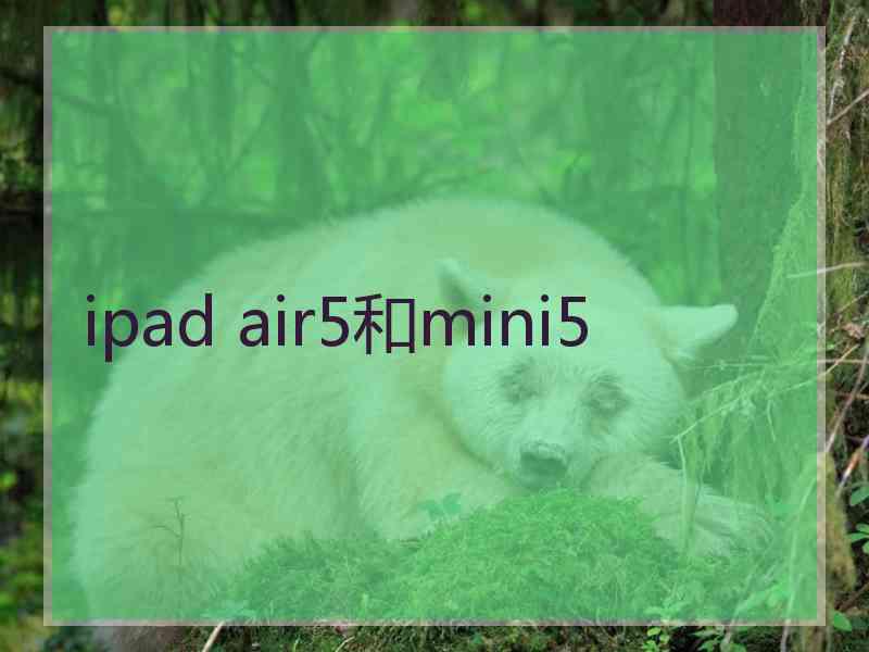 ipad air5和mini5