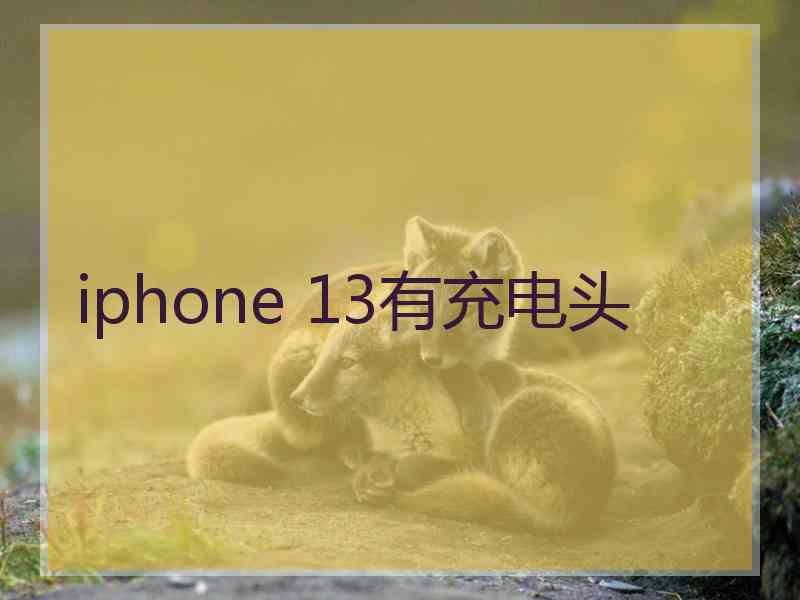 iphone 13有充电头