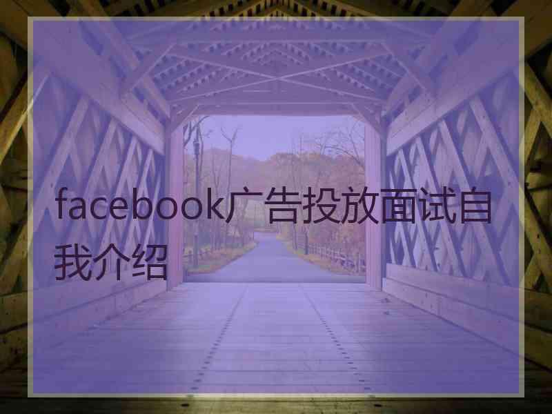 facebook广告投放面试自我介绍