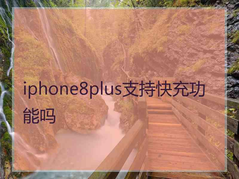 iphone8plus支持快充功能吗