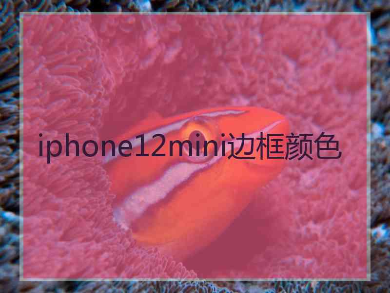 iphone12mini边框颜色