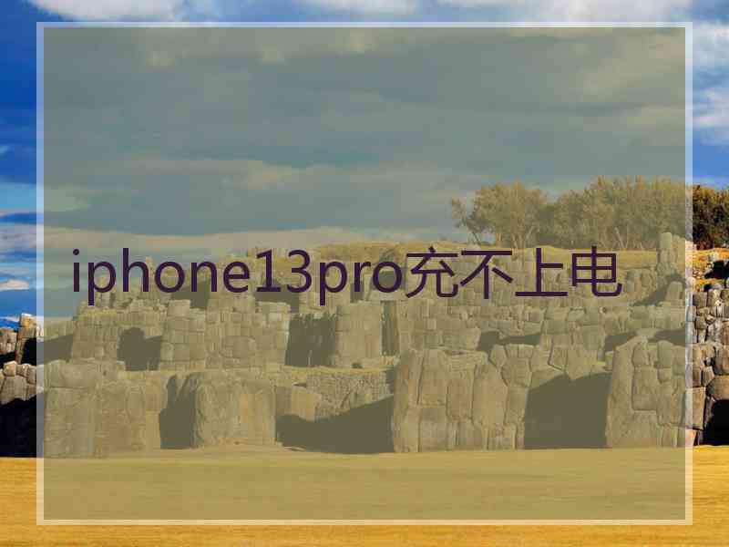 iphone13pro充不上电