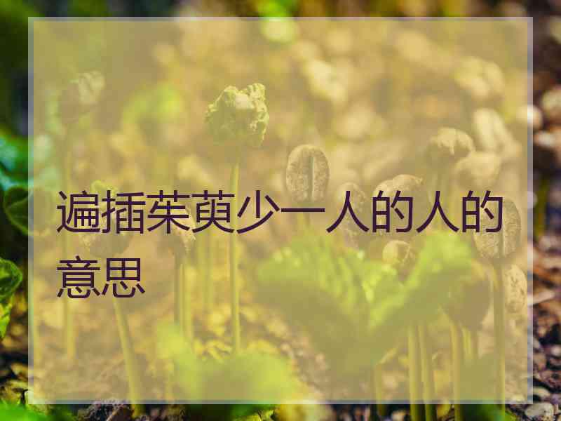 遍插茱萸少一人的人的意思