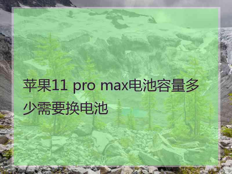 苹果11 pro max电池容量多少需要换电池