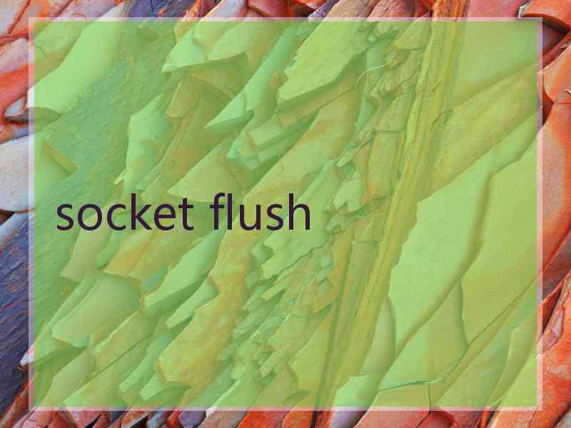 socket flush