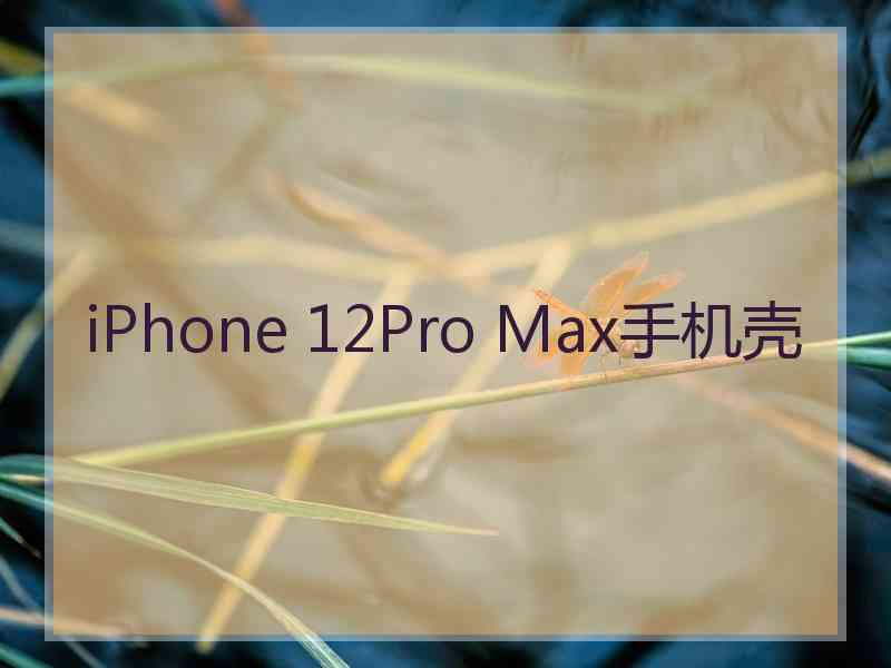 iPhone 12Pro Max手机壳