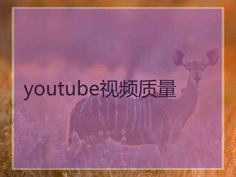 youtube视频质量