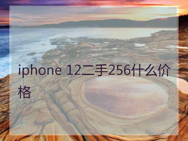 iphone 12二手256什么价格