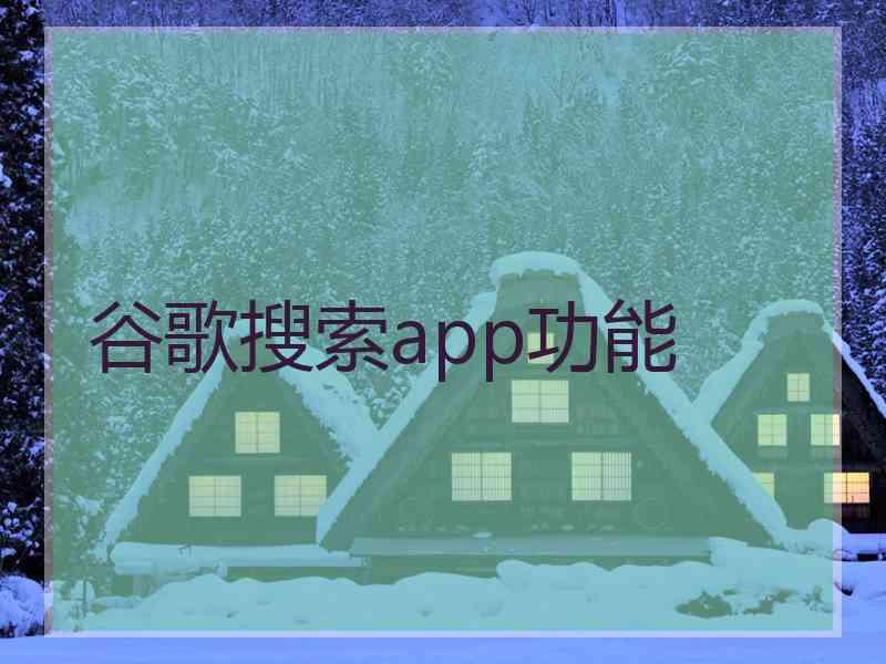 谷歌搜索app功能