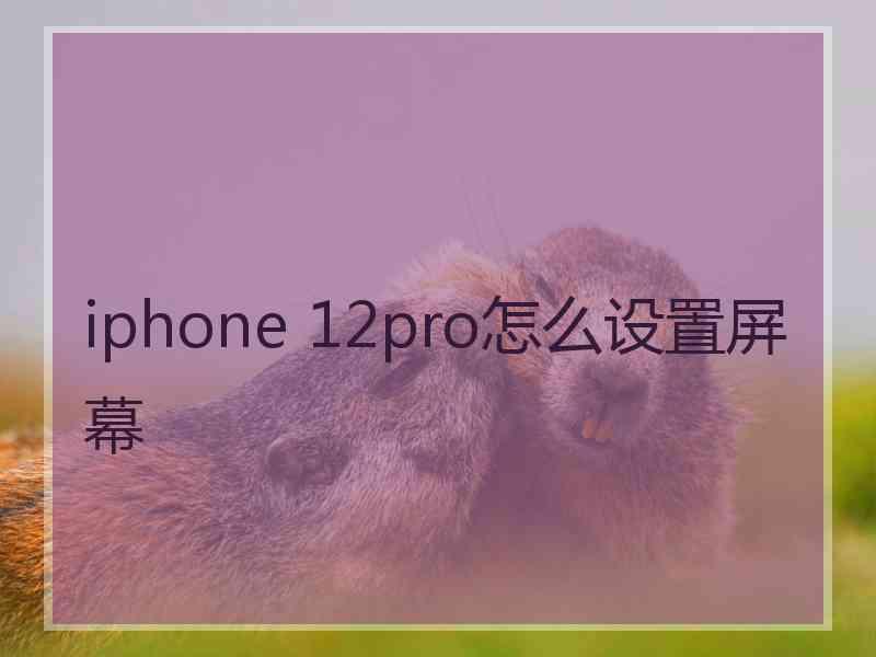 iphone 12pro怎么设置屏幕