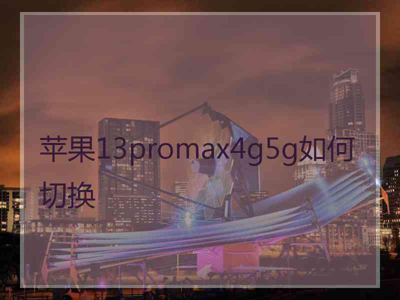 苹果13promax4g5g如何切换