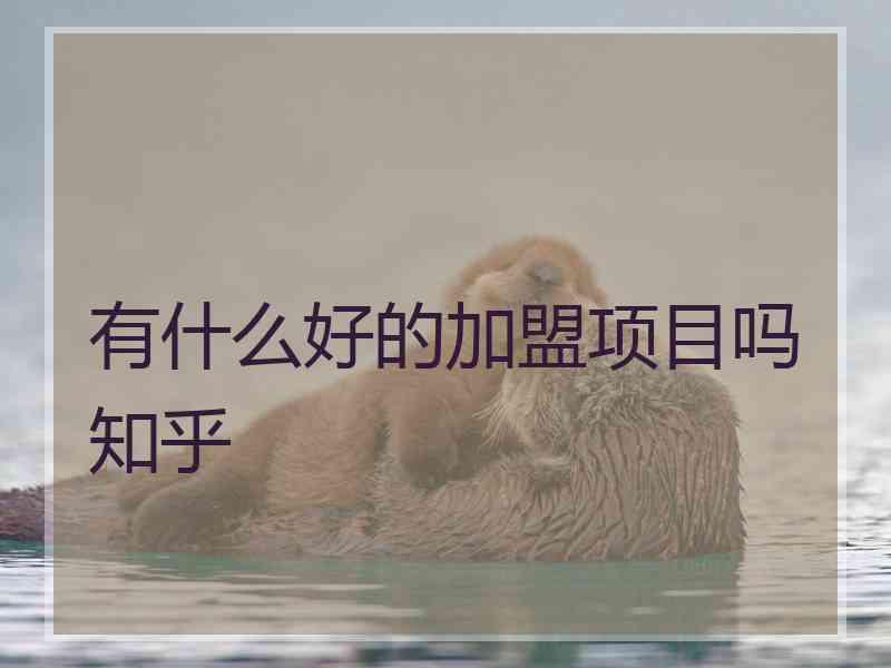 有什么好的加盟项目吗知乎