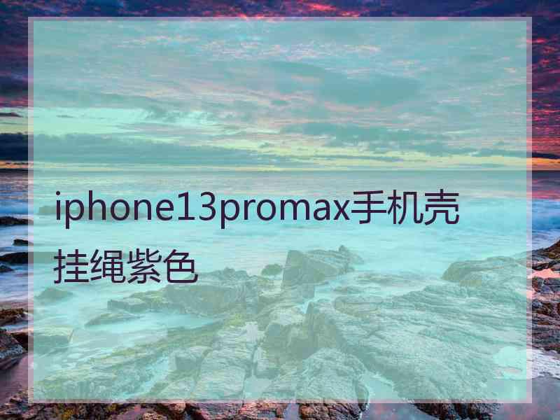 iphone13promax手机壳挂绳紫色