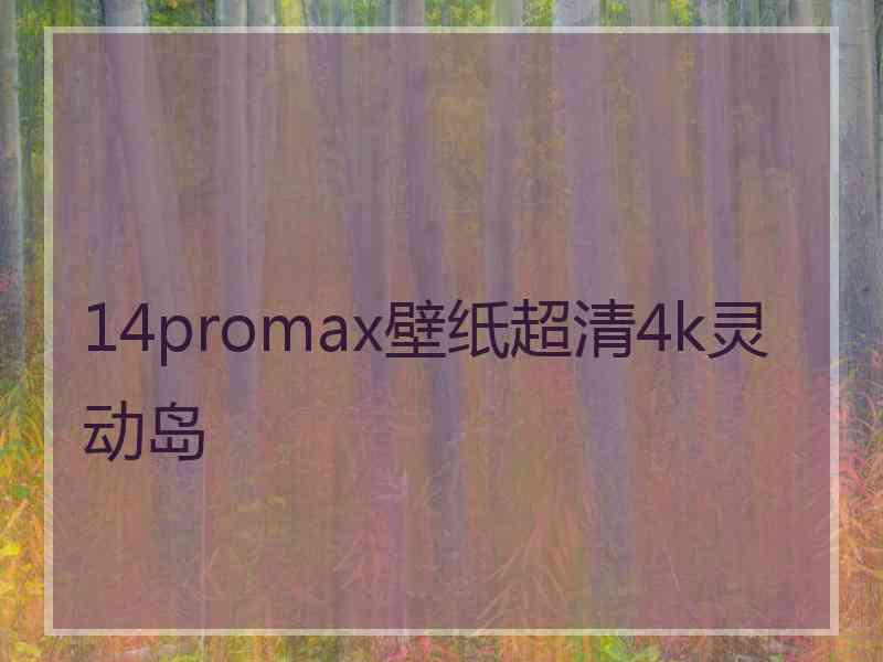 14promax壁纸超清4k灵动岛