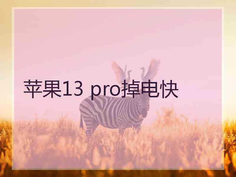 苹果13 pro掉电快