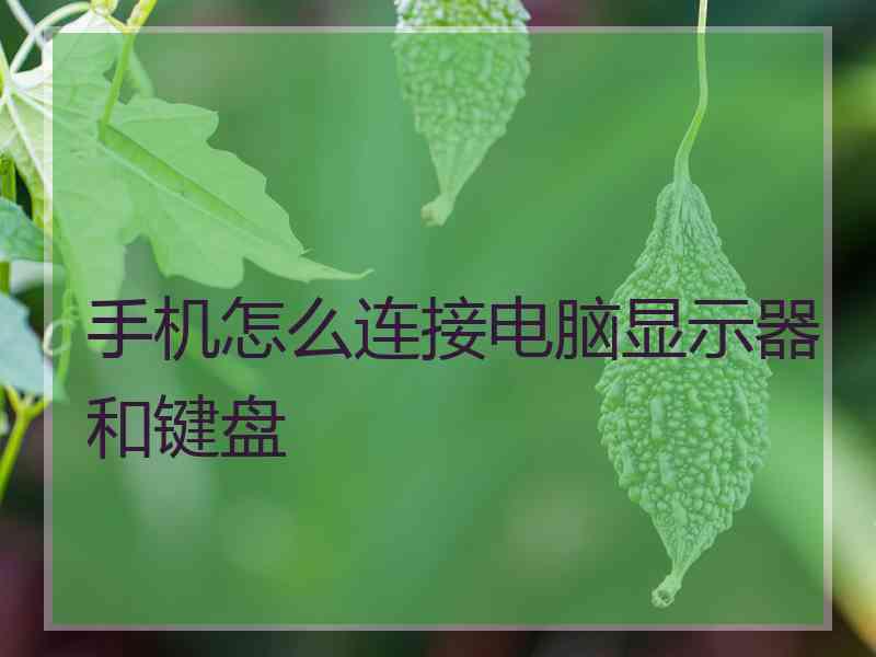 手机怎么连接电脑显示器和键盘