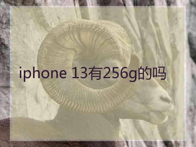 iphone 13有256g的吗