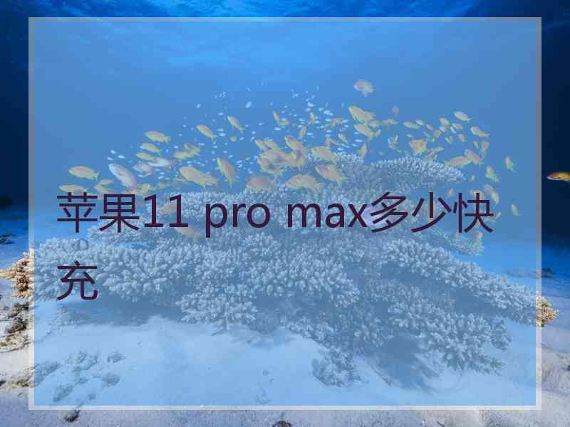 苹果11 pro max多少快充