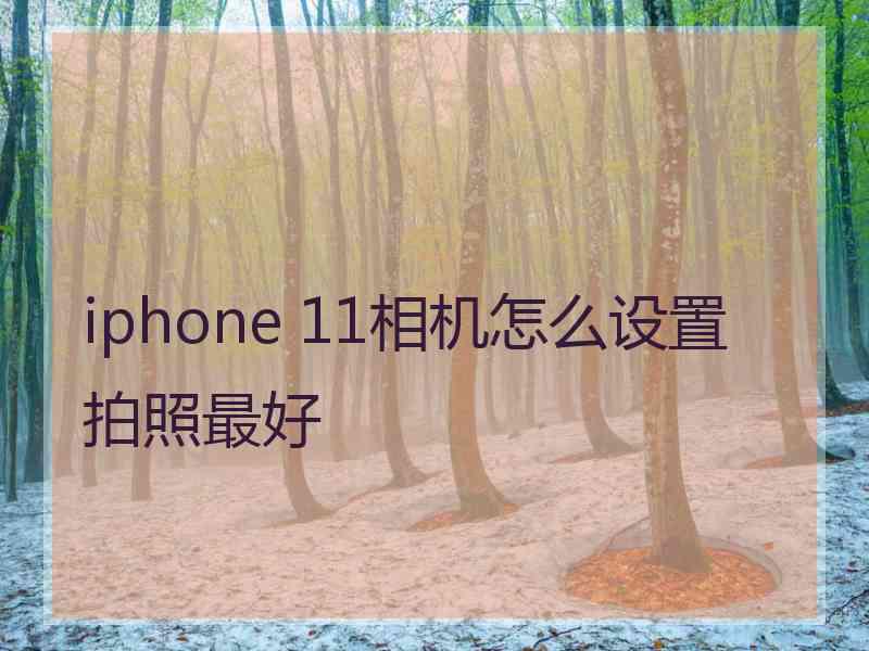 iphone 11相机怎么设置拍照最好