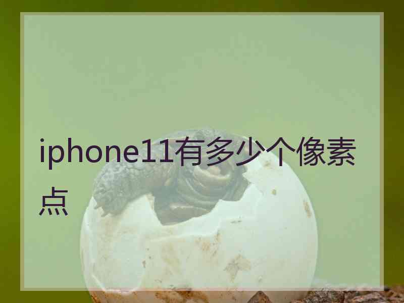 iphone11有多少个像素点