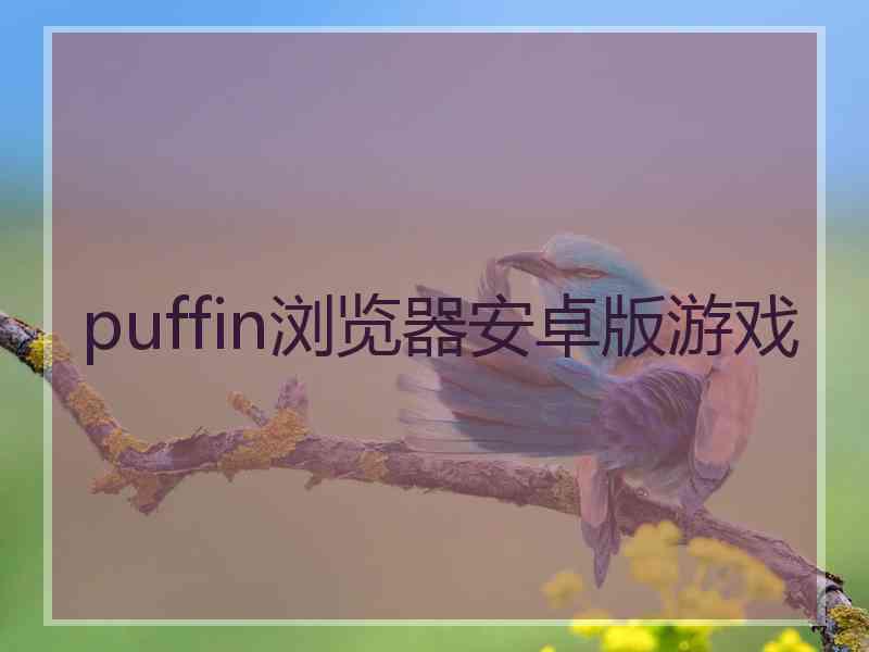 puffin浏览器安卓版游戏