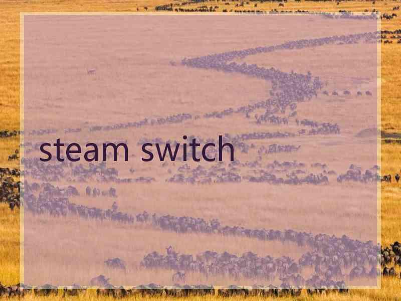 steam switch