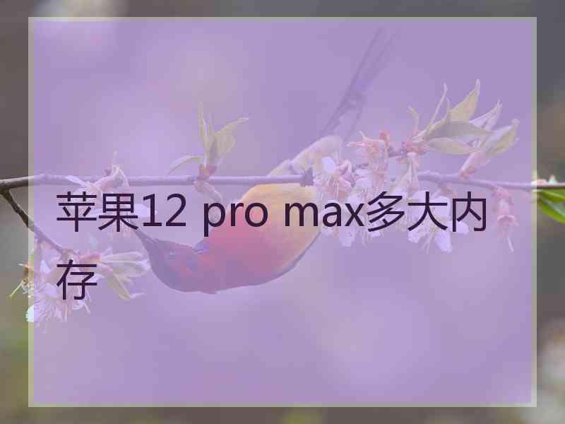 苹果12 pro max多大内存