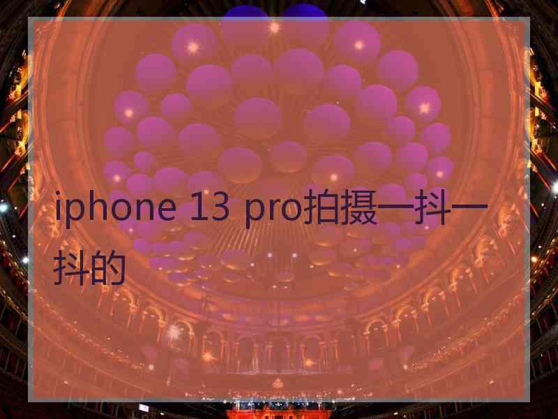 iphone 13 pro拍摄一抖一抖的