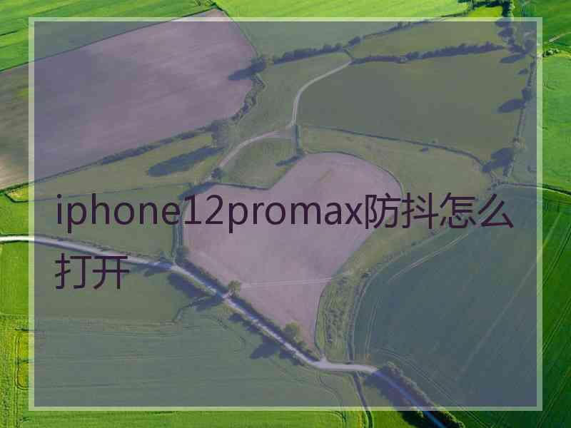 iphone12promax防抖怎么打开