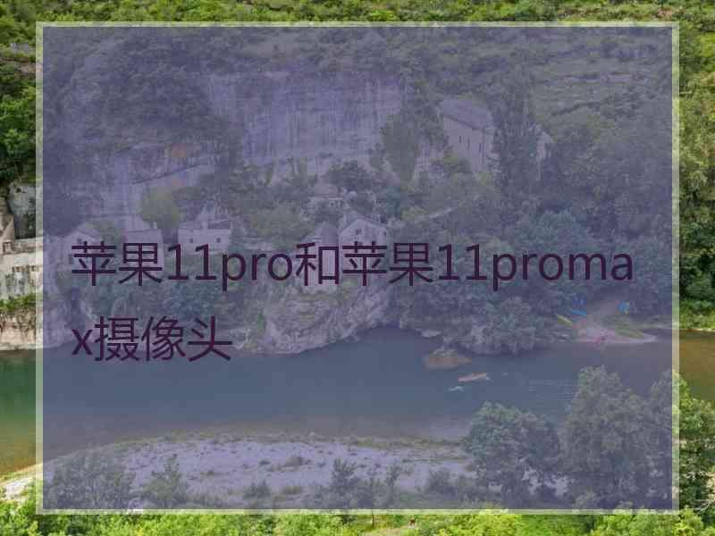 苹果11pro和苹果11promax摄像头