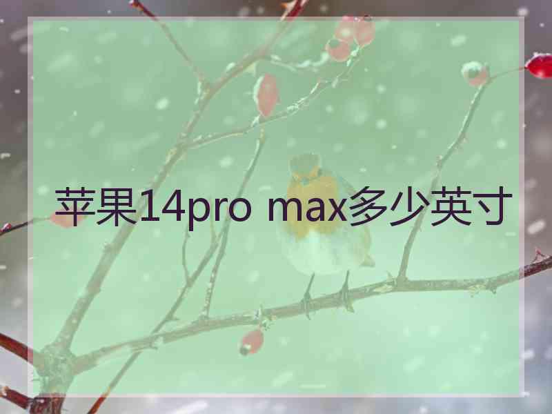 苹果14pro max多少英寸