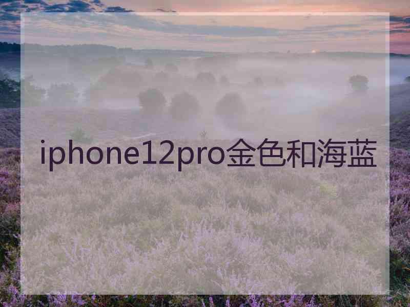 iphone12pro金色和海蓝