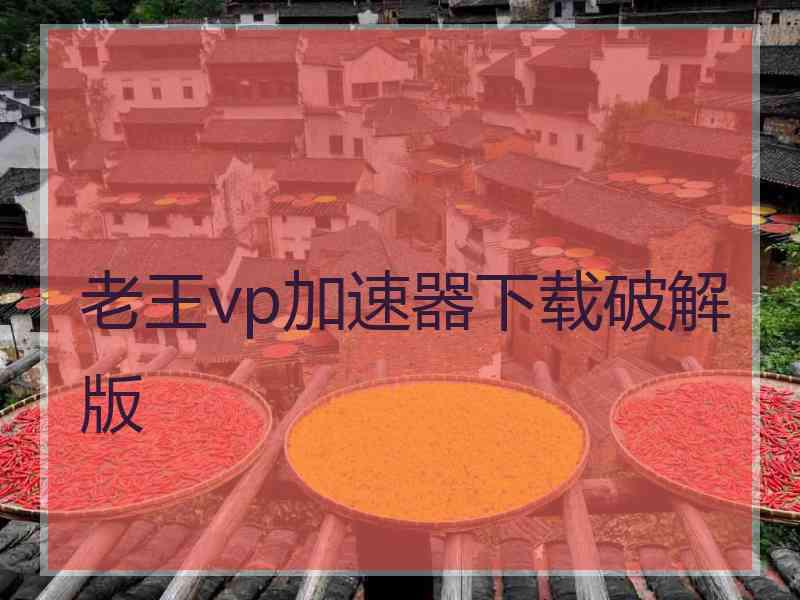 老王vp加速器下载破解版