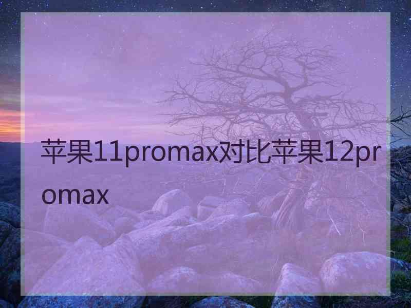 苹果11promax对比苹果12promax