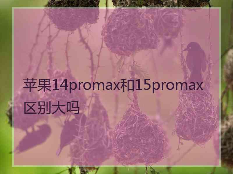 苹果14promax和15promax区别大吗