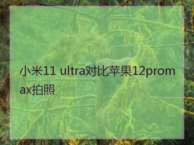 小米11 ultra对比苹果12promax拍照