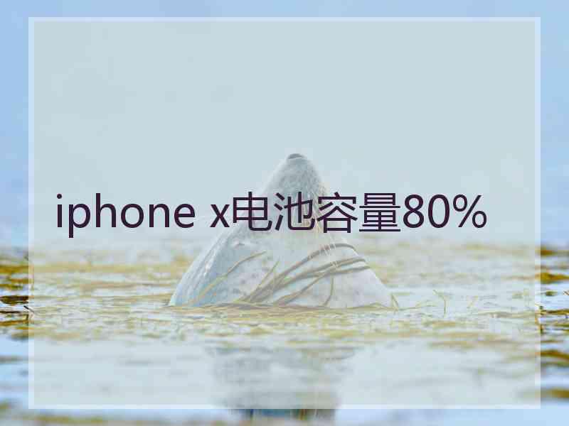 iphone x电池容量80%