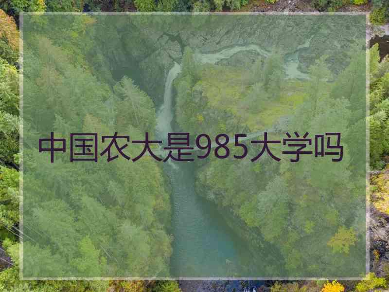 中国农大是985大学吗