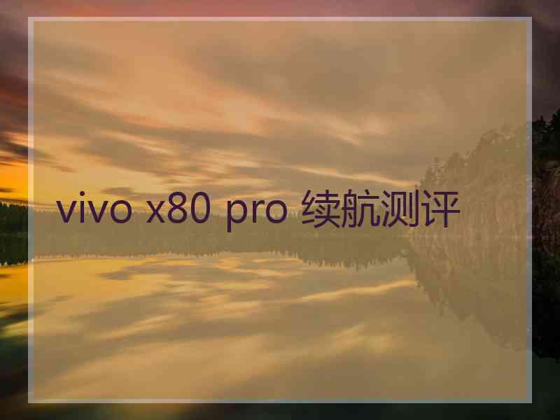 vivo x80 pro 续航测评