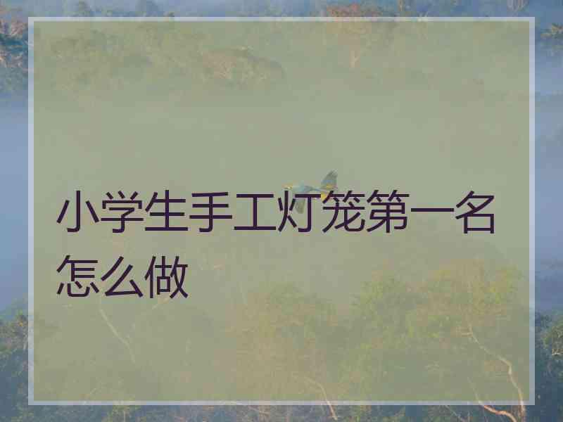 小学生手工灯笼第一名怎么做